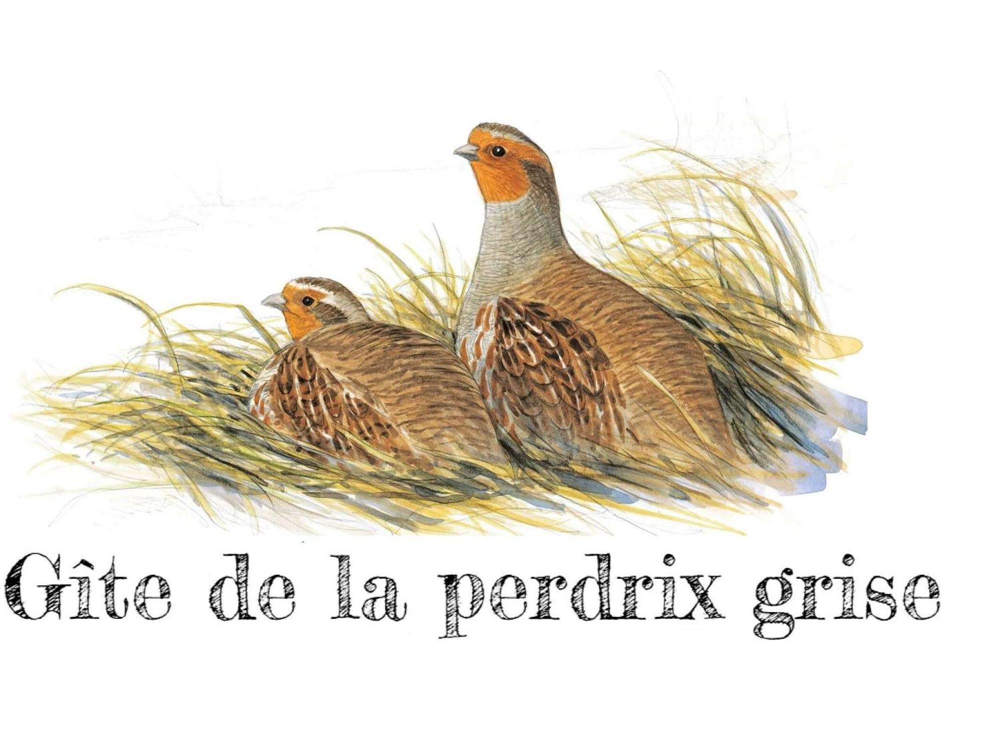 Charmante Maison De Campagne Avec Jardin Prive, Pres De Paris Et Orleans, Ideale Pour Familles - Fr-1-590-136 Audeville Kültér fotó